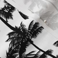 Palm Trees / Black And White / Small Scale