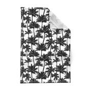 Palm Trees / Black And White / Small Scale