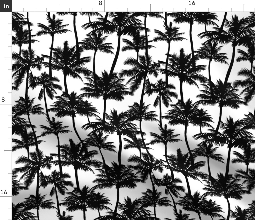 Palm Trees / Black And White / Small Scale