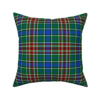 Gayre green tartan, 6" modern colors