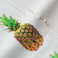 Pineapples small