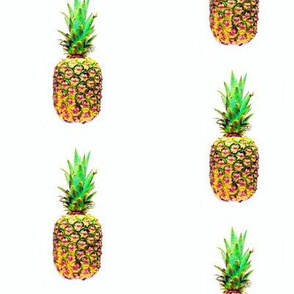 Pineapples small