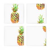 Pineapple lg