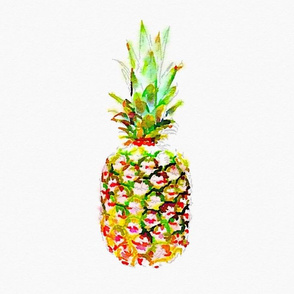 Pineapple lg