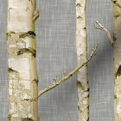 Mossy Birch on Gray Linen