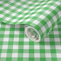 5/8" Spearmint green gingham check