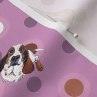 Basset Hound