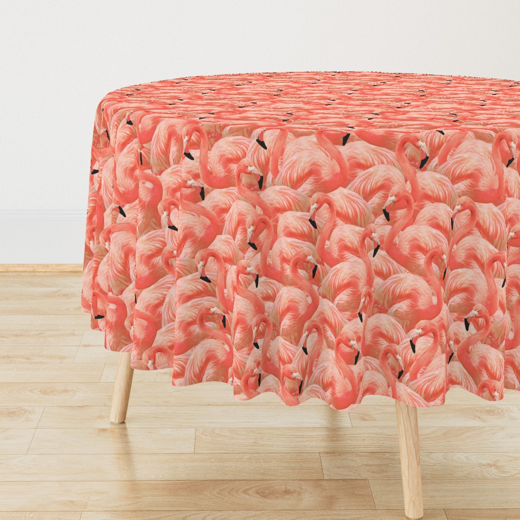 Flamingo Fever in Coral