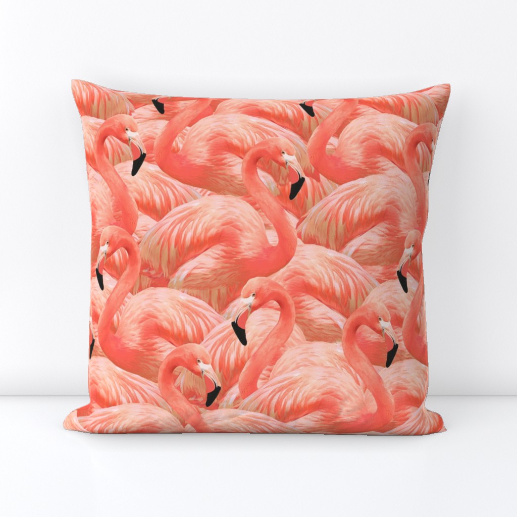 Flamingo Fever in Coral