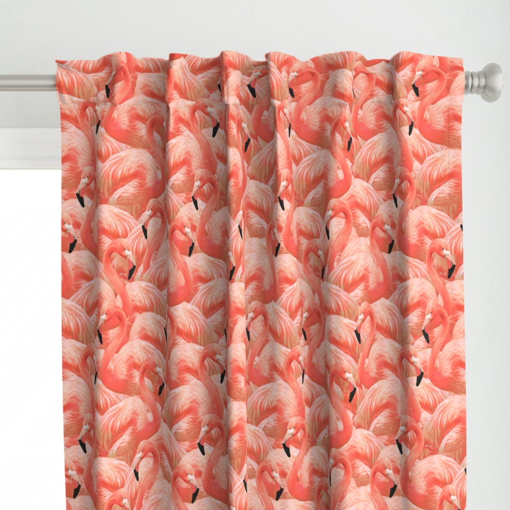 Flamingo Fever in Coral