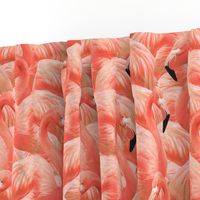 Flamingo Fever in Coral