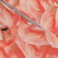 Flamingo Fever in Coral