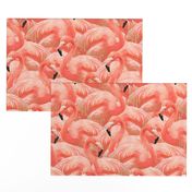 Flamingo Fever in Coral