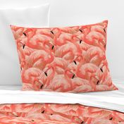 Flamingo Fever in Coral