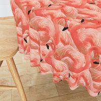 Flamingo Fever in Coral