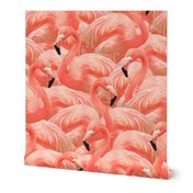 Flamingo Fever in Coral