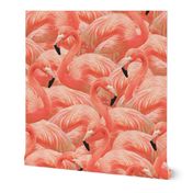 Flamingo Fever in Coral