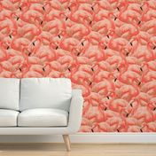 Flamingo Fever in Coral