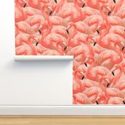 Flamingo Fever in Coral