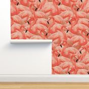 Flamingo Fever in Coral