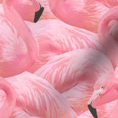 Flamingo Fever in Pink 