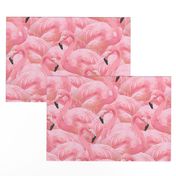 Flamingo Fever in Pink 