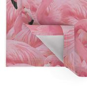 Flamingo Fever in Pink 