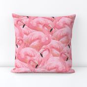 Flamingo Fever in Pink 