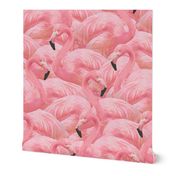 Flamingo Fever in Pink 