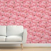 Flamingo Fever in Pink 