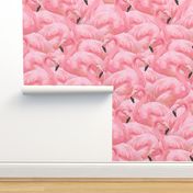 Flamingo Fever in Pink 