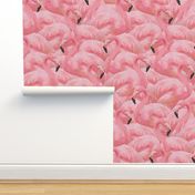 Flamingo Fever in Pink 