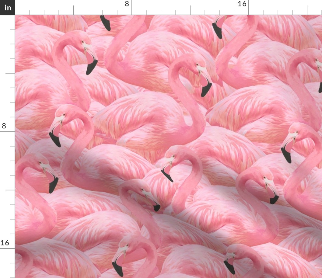 Flamingo Fever in Pink 