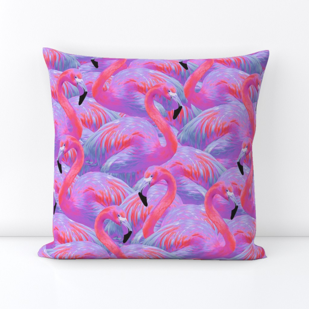 Flamingo Fever in Tropical Paradise