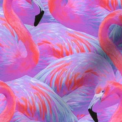 Flamingo Fever in Tropical Paradise