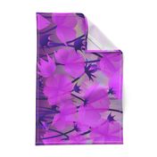 violet floral border print