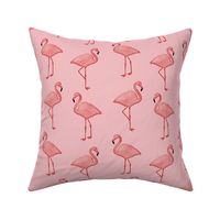 Bimini Bay Flamingos on Pink