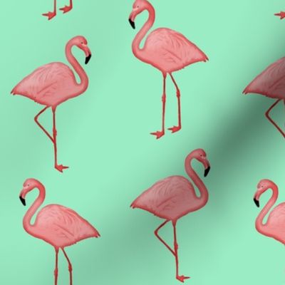 Bimini Bay Flamingos on Mint