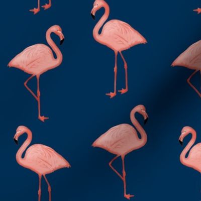 Bimini Bay Flamingos on Navy