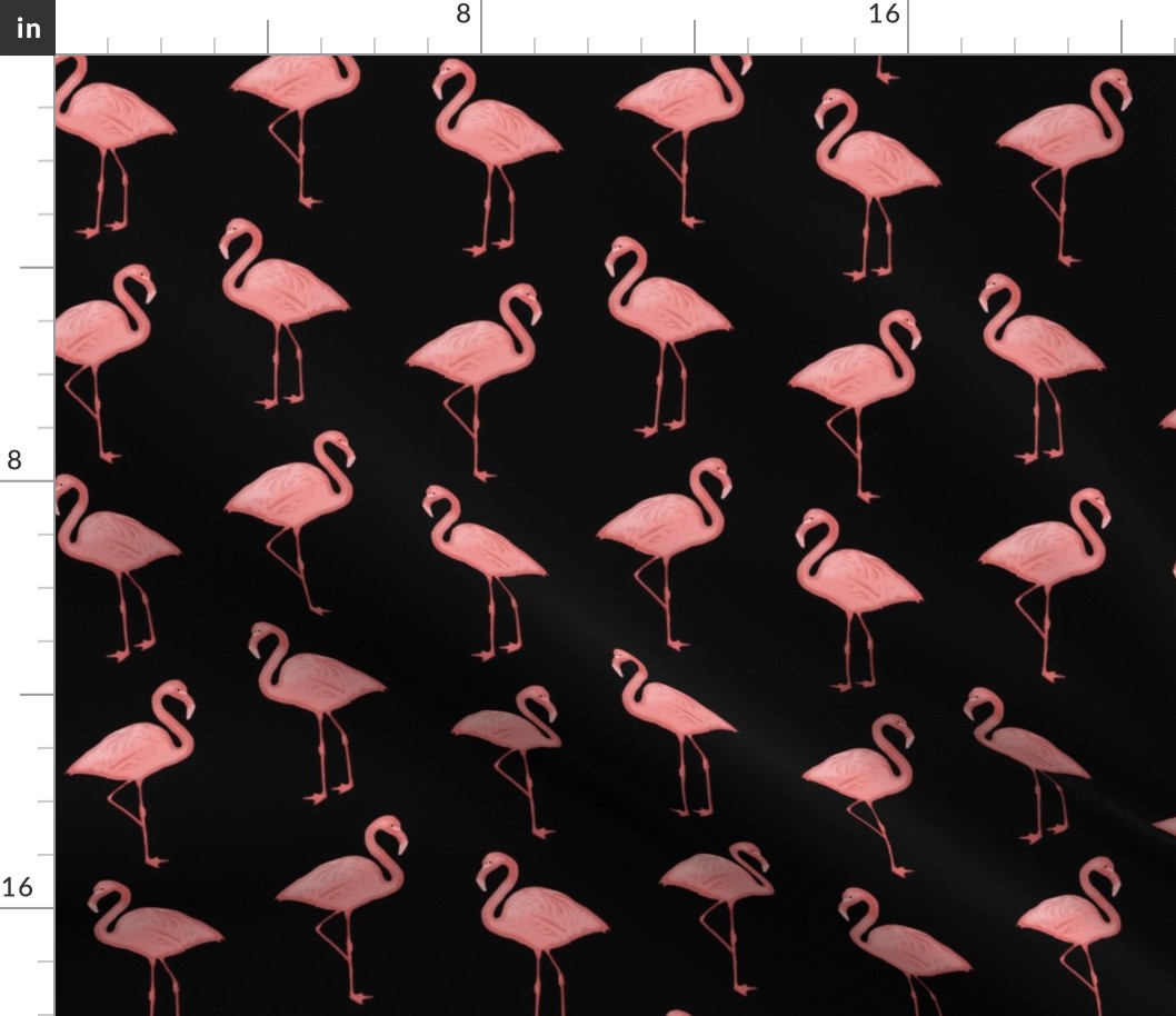 Bimini Bay Flamingos in Black