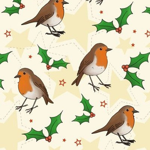 Robins, Holly and Stars