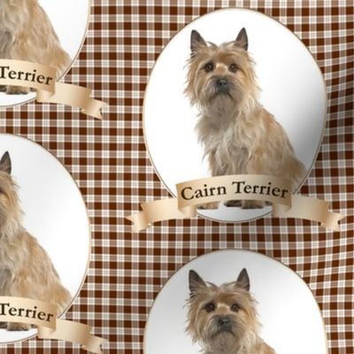 Cairn Terrier