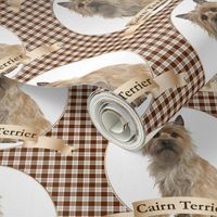 Cairn Terrier