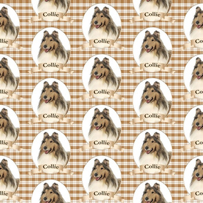 Collie