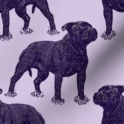 Posing Staffordshire Bull Terrier - purple