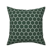 Honeycomb in Pine Green