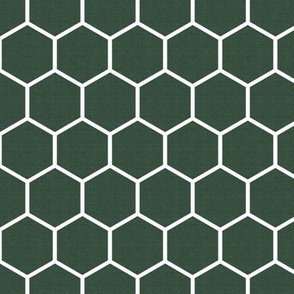 Honeycomb in Pine Green