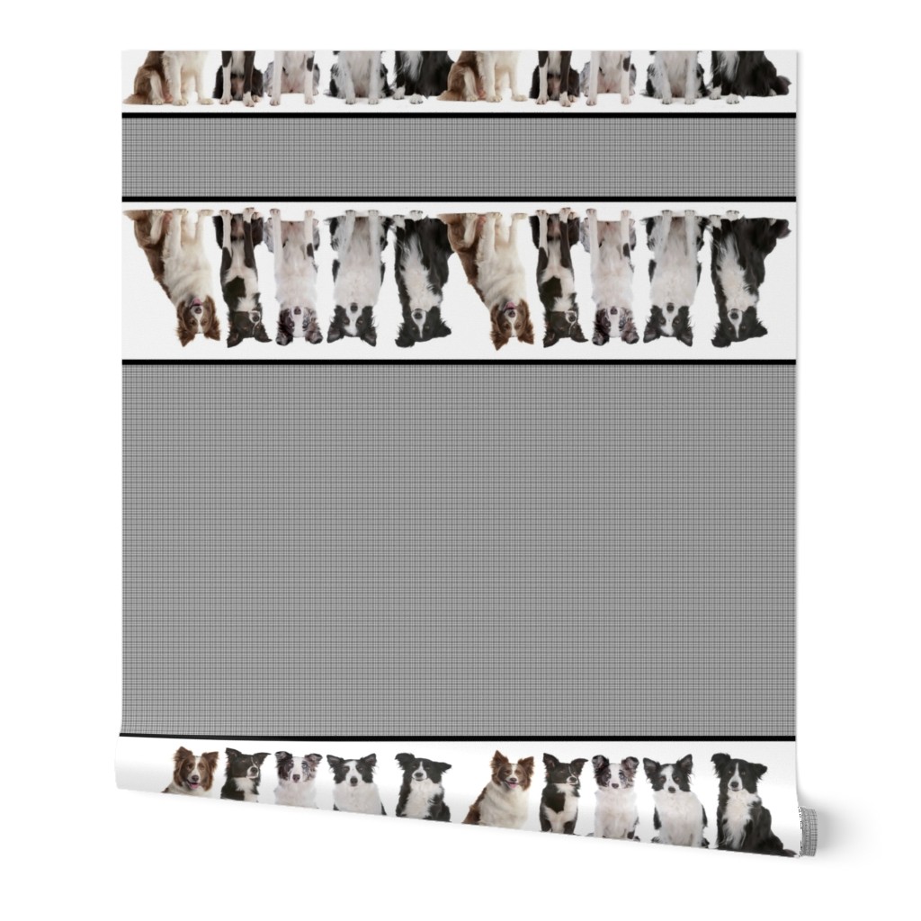 Border Collie Border Fabric