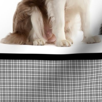 Border Collie Border Fabric