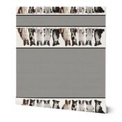 Border Collie Border Fabric